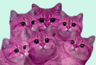 Illustration for article titled It's Like Taking Drugs and Looking at Cats